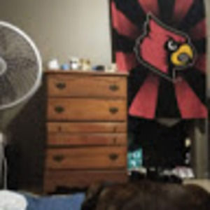 Meet your Posher, Everett